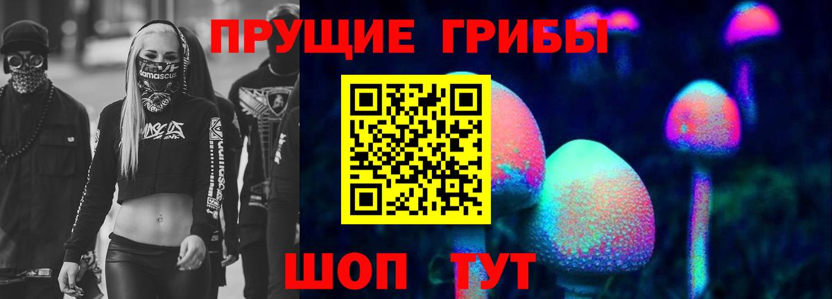 Первоуральск  закладка  Вход с VPN  Псилоцибиновые грибы мухоморы 
